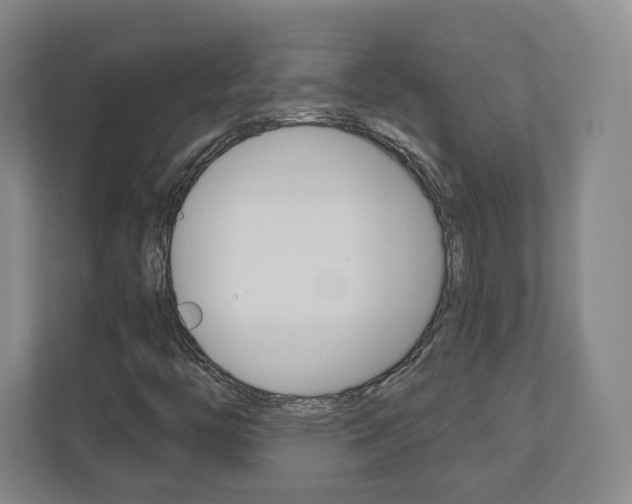 X0000110921446200906181206