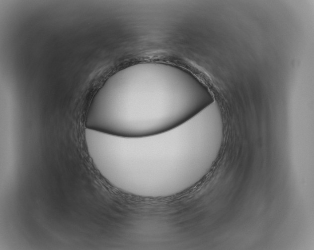 X0000110921447200906181206
