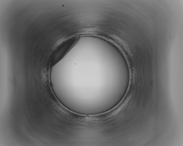 X0000110921449200906181206