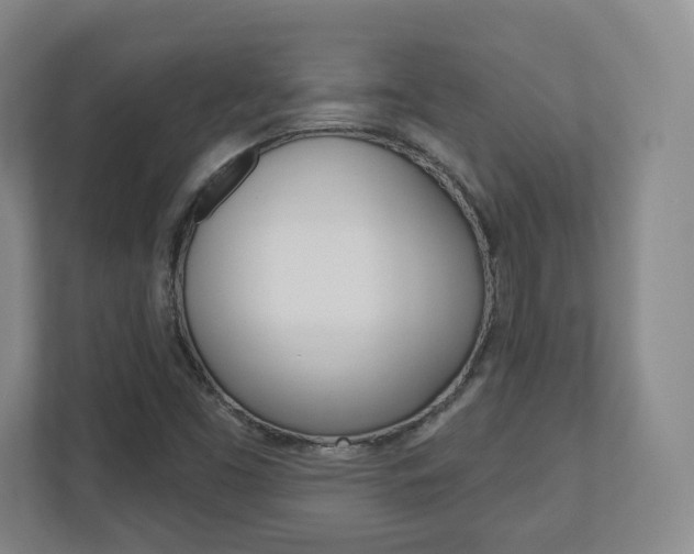X0000110921453200906181206