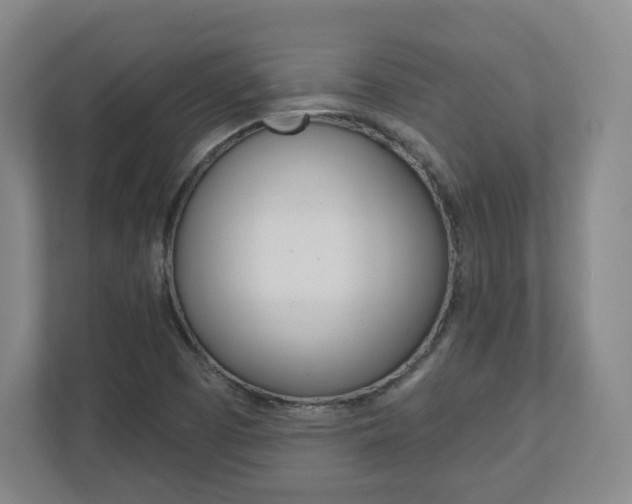 X0000110921457200906181206