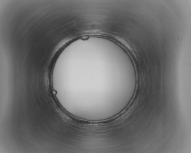 X0000110921458200906181206