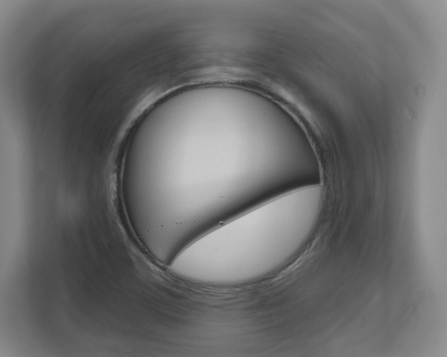 X0000110921459200906181206