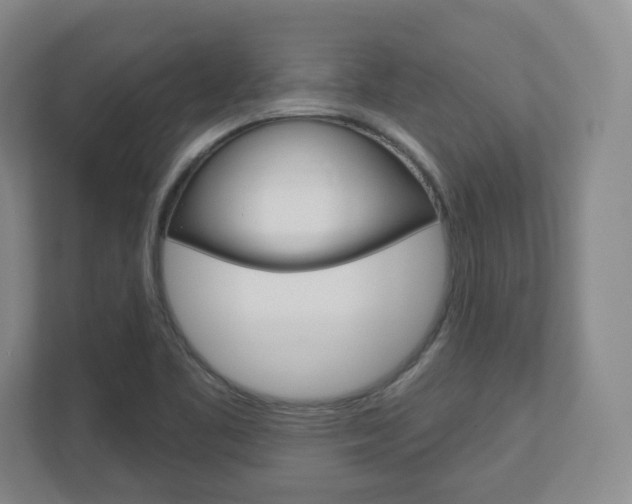 X0000110921461200906181206
