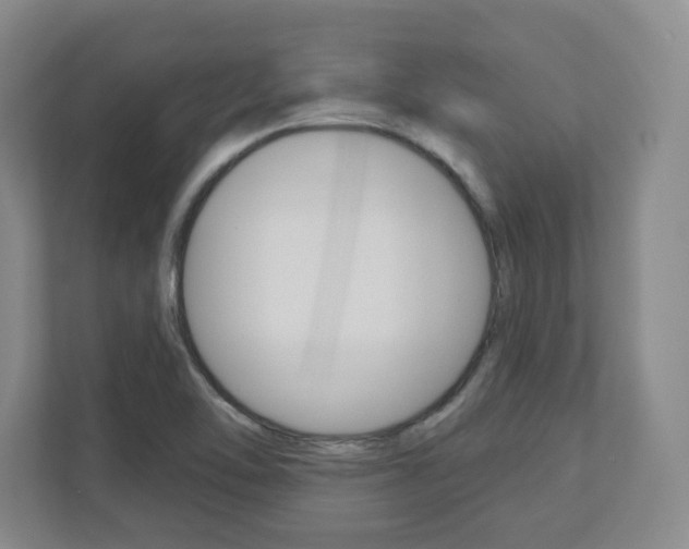 X0000110921462200906181206