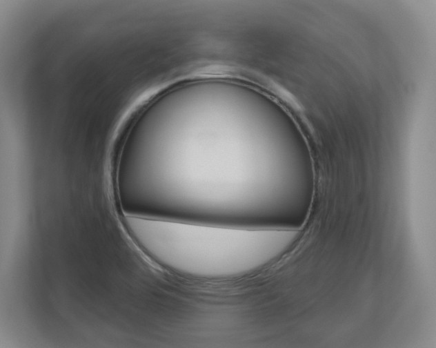 X0000110921464200906181206