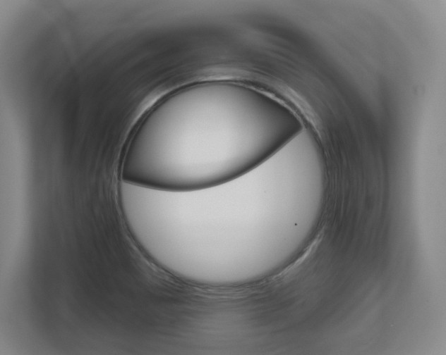 X0000110921465200906181206