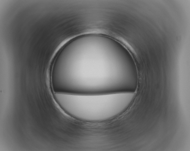 X0000110921468200906181206