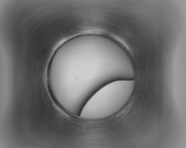 X0000110921471200906181206