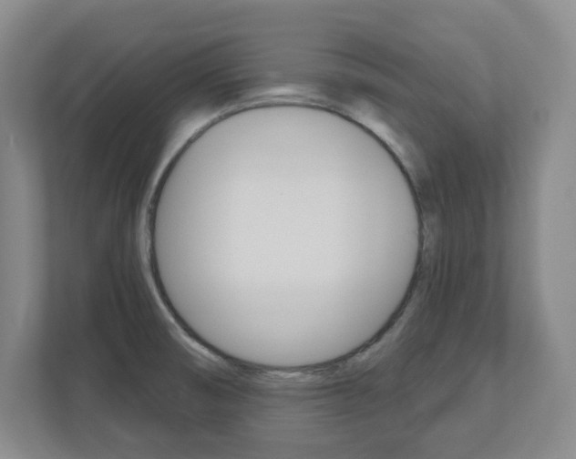 X0000110921474200906181206