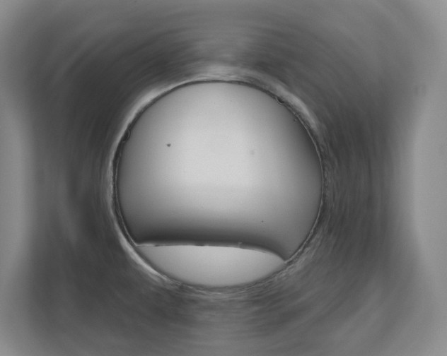 X0000110921479200906181206