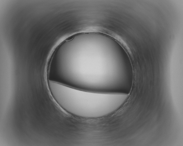 X0000110921480200906181206