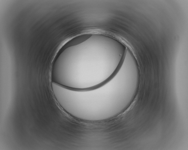X0000110921481200906181206