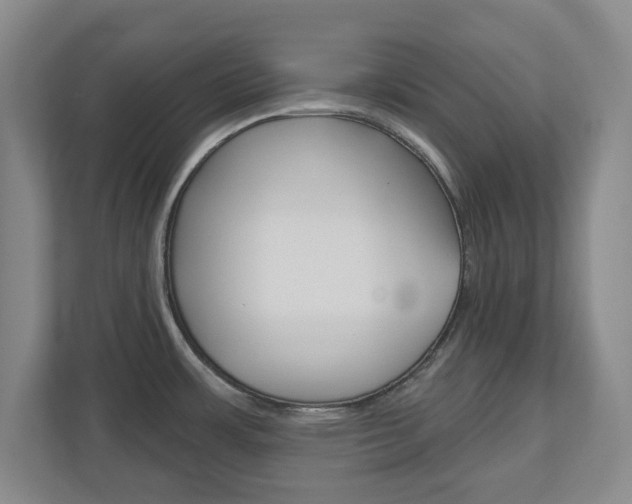 X0000110921483200906181206