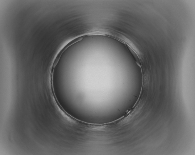 X0000110921484200906181206