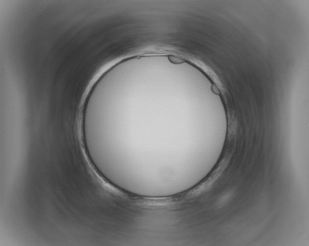 X0000110921486200906181206