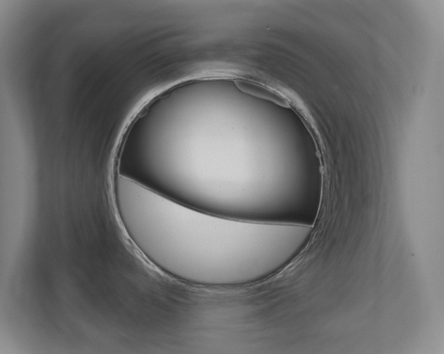 X0000110921488200906181206