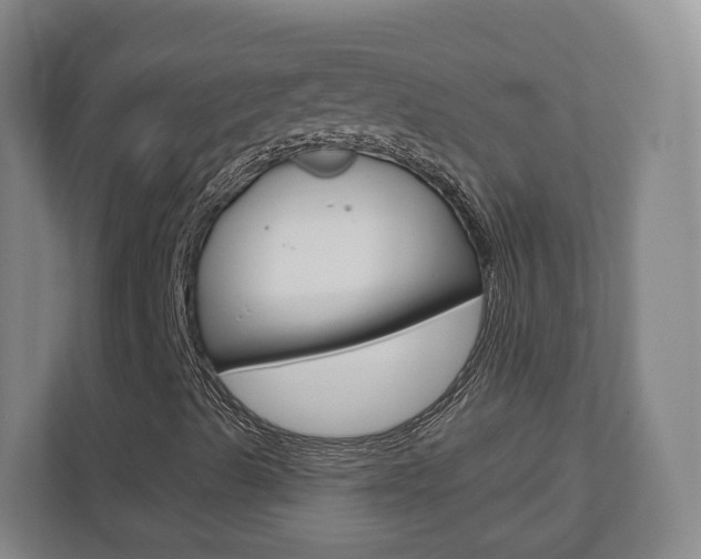 X0000110921489200906181205