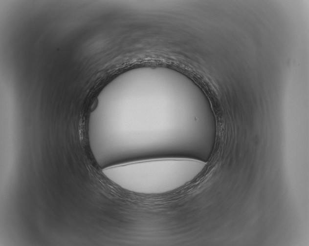 X0000110921490200906181205