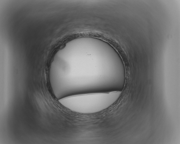 X0000110921493200906181205