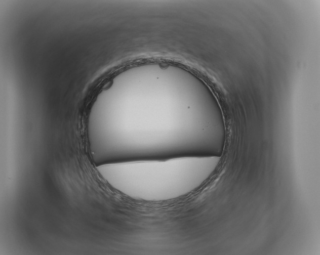 X0000110921494200906181205