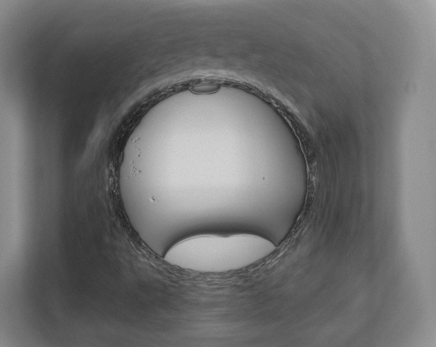 X0000110921495200906181205