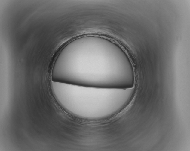 X0000110921497200906181205