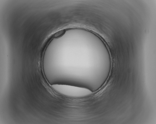 X0000110921499200906181205