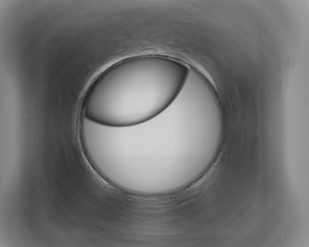 X0000110921500200906181205