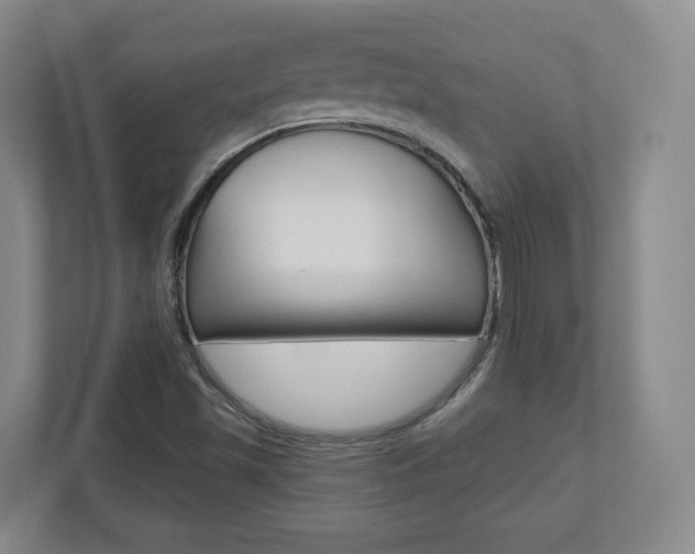 X0000110921501200906181205