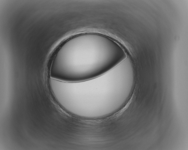 X0000110921502200906181205