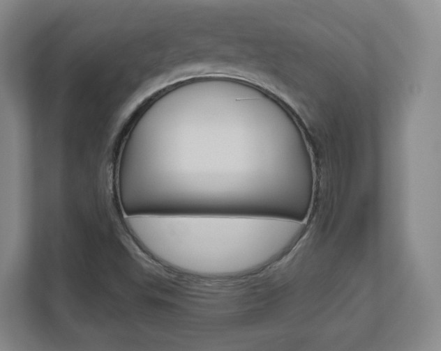 X0000110921503200906181205