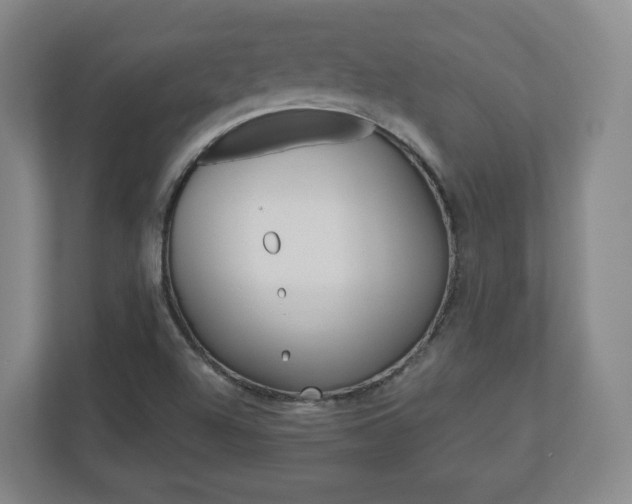 X0000110921504200906181205