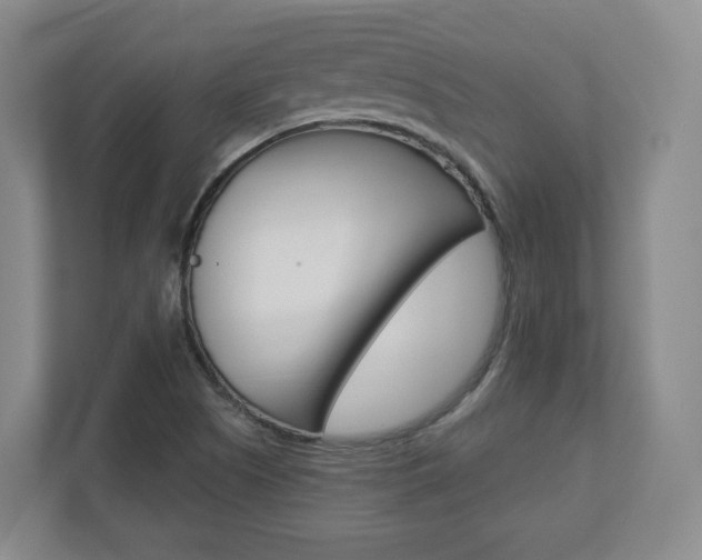 X0000110921505200906181205