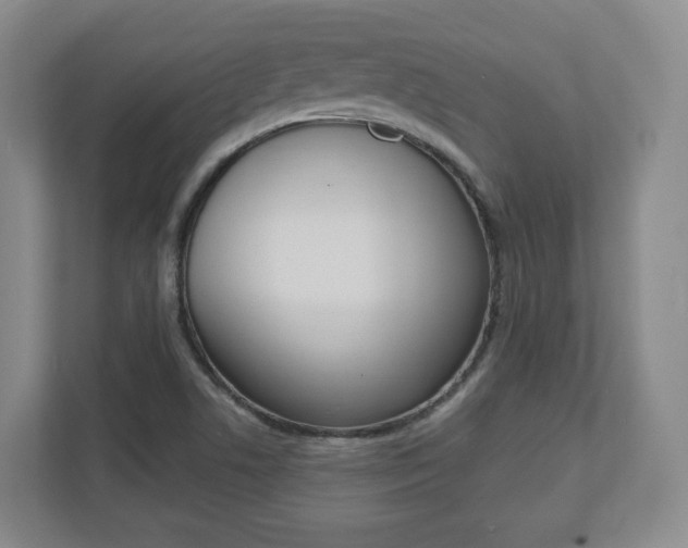 X0000110921506200906181205