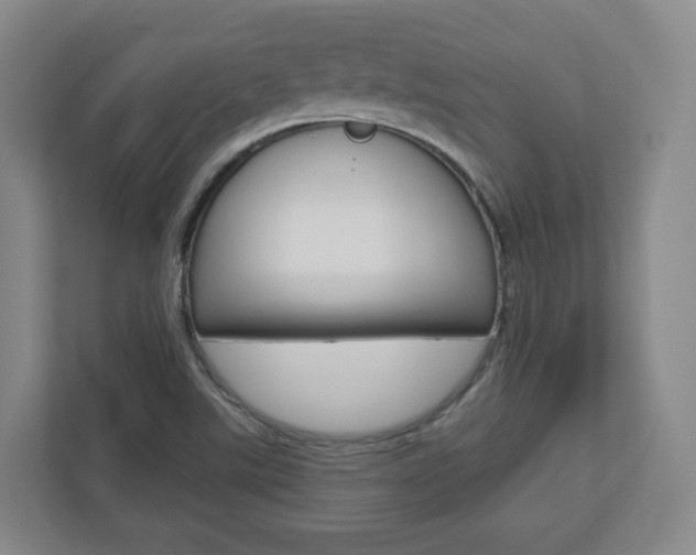 X0000110921507200906181205