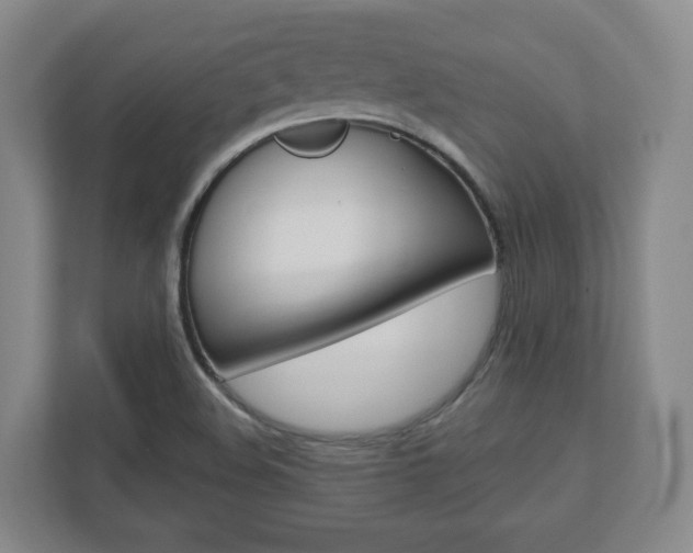 X0000110921508200906181205