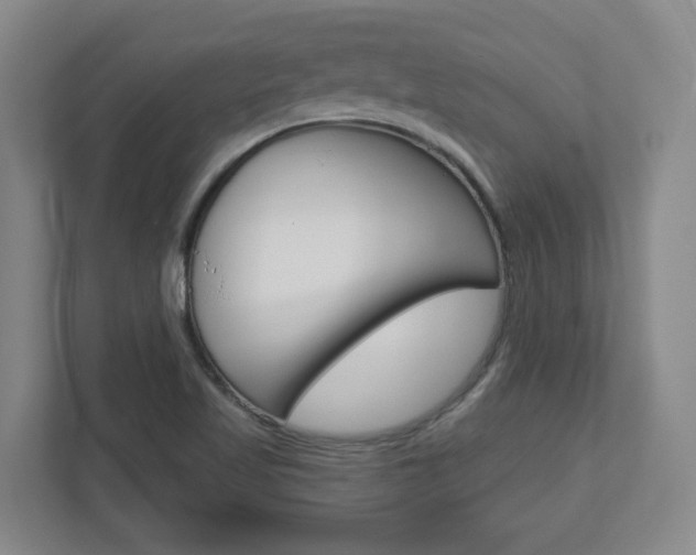 X0000110921509200906181205