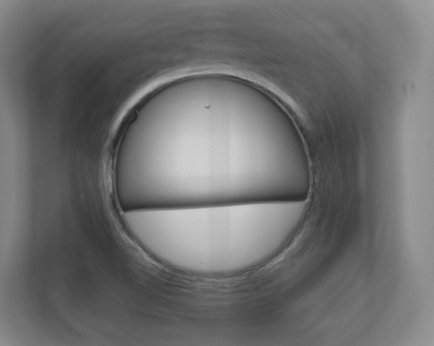 X0000110921510200906181205