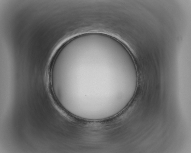 X0000110921511200906181205