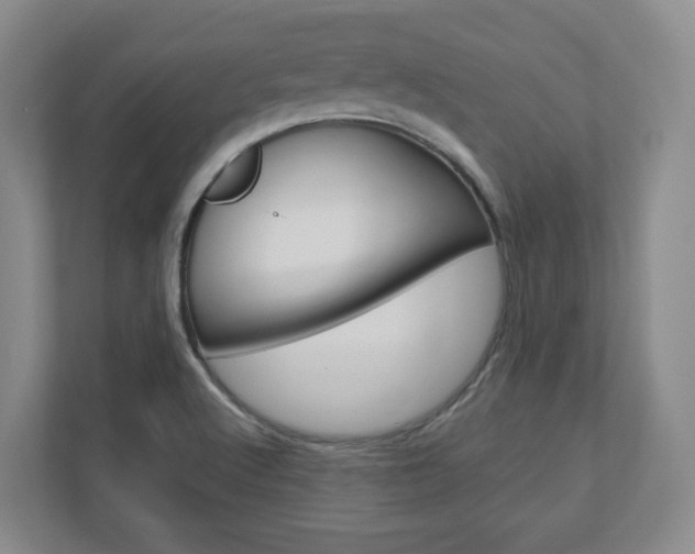 X0000110921512200906181205