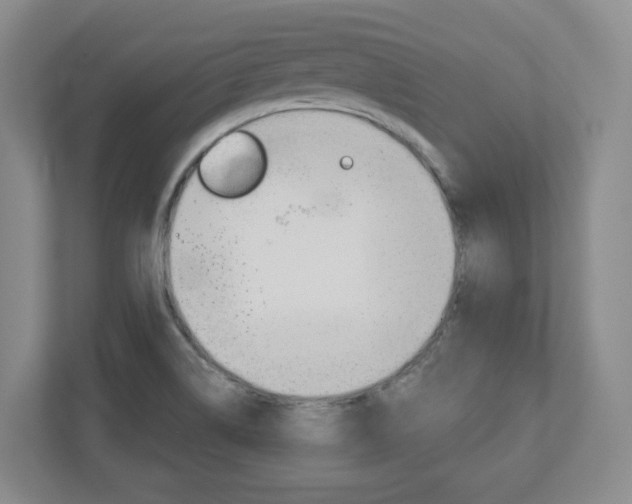 X0000110921514200906181205
