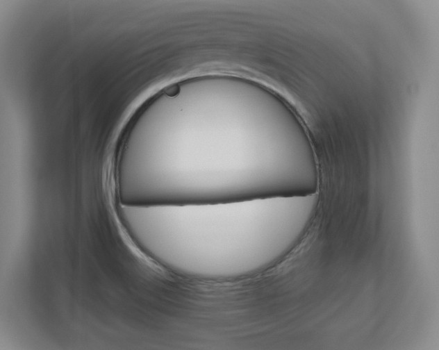 X0000110921515200906181205