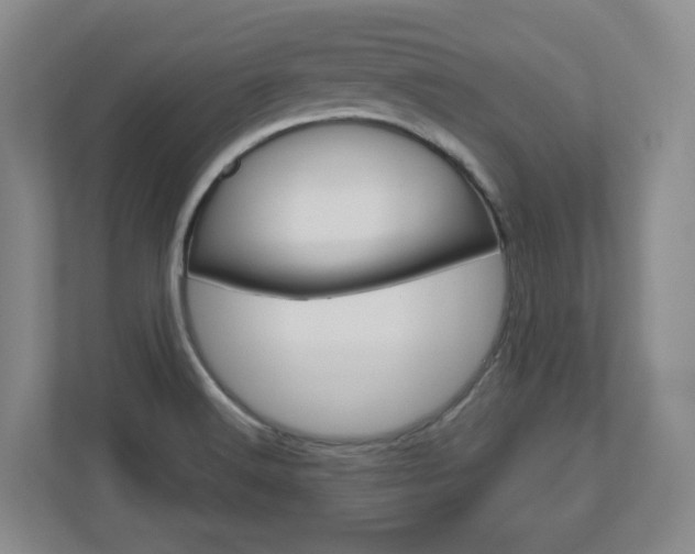 X0000110921516200906181205