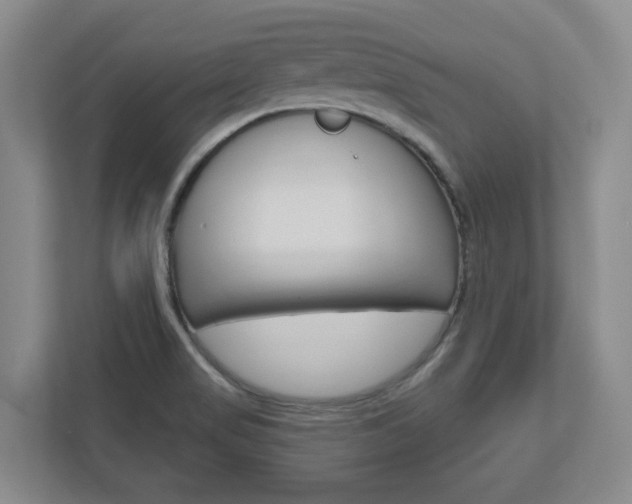 X0000110921517200906181205