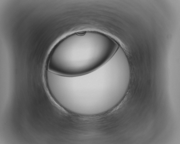 X0000110921518200906181206