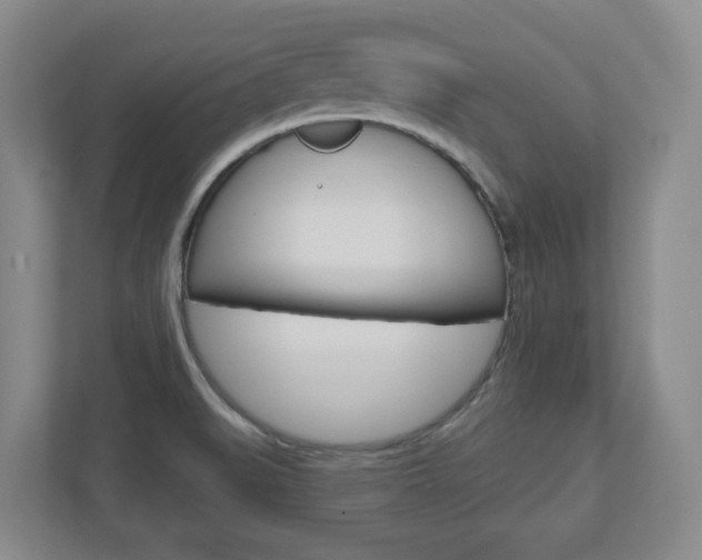 X0000110921519200906181206