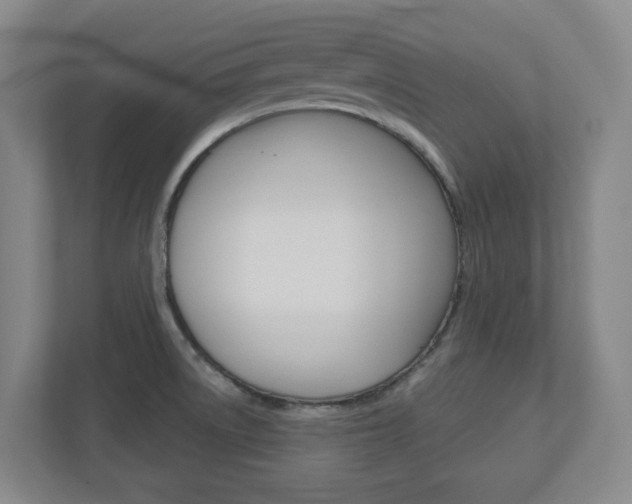 X0000110921522200906181206