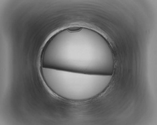 X0000110921523200906181206