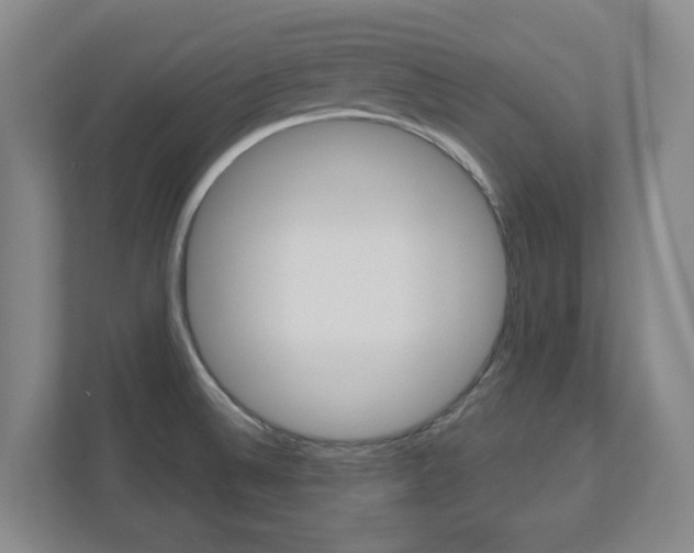 X0000110921524200906181206